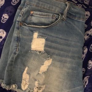 NWOT super distressed Dollhouse jean shorts